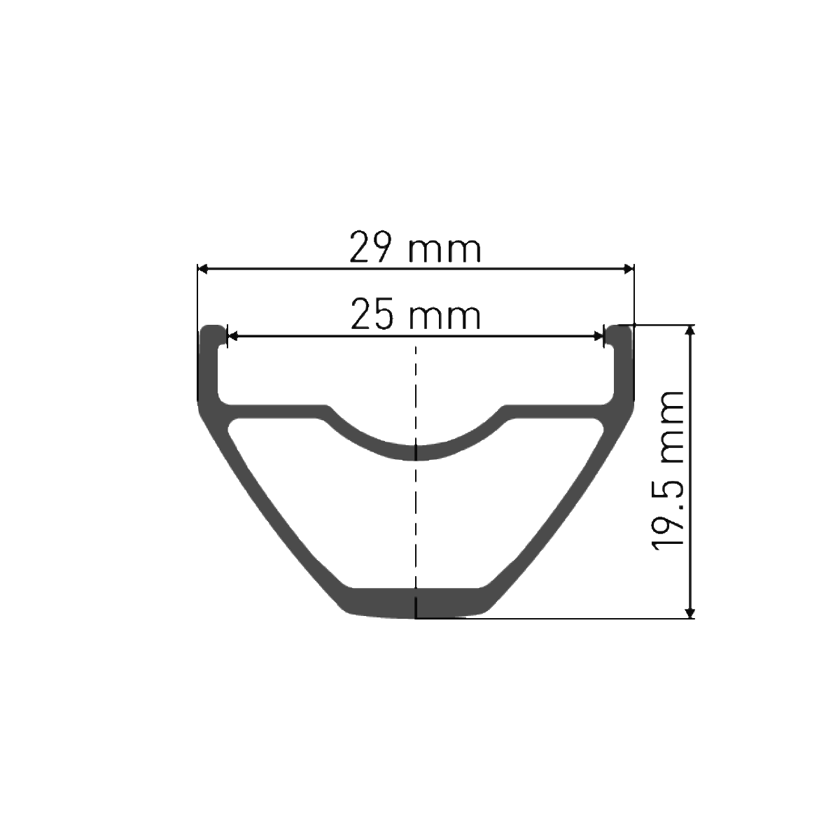 Roue Avant DT SWISS X 1900 SPLINE 25 mm 29'' 15x110 mm