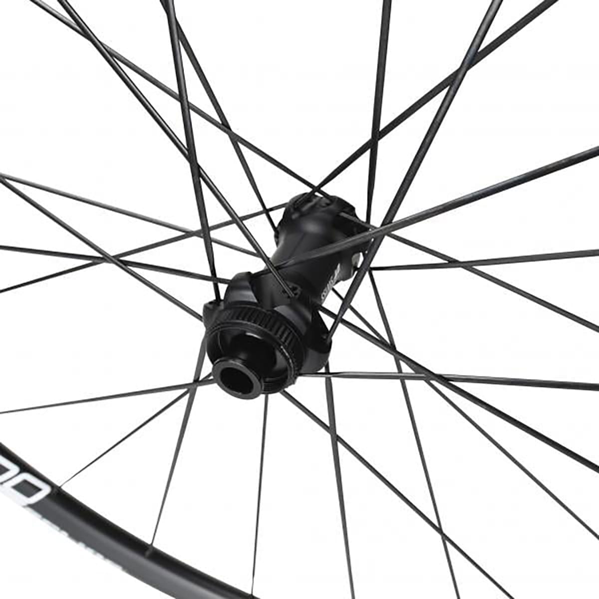 Laufradsatz DT SWISS E 1800 SPLINE 23 Disc - Detailansicht hinten