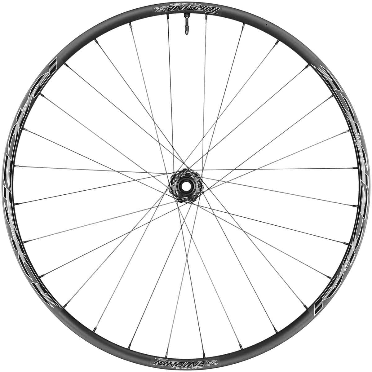 Front wheel RACE FACE TURBINE SL 29" Axle 15x110 mm Boost