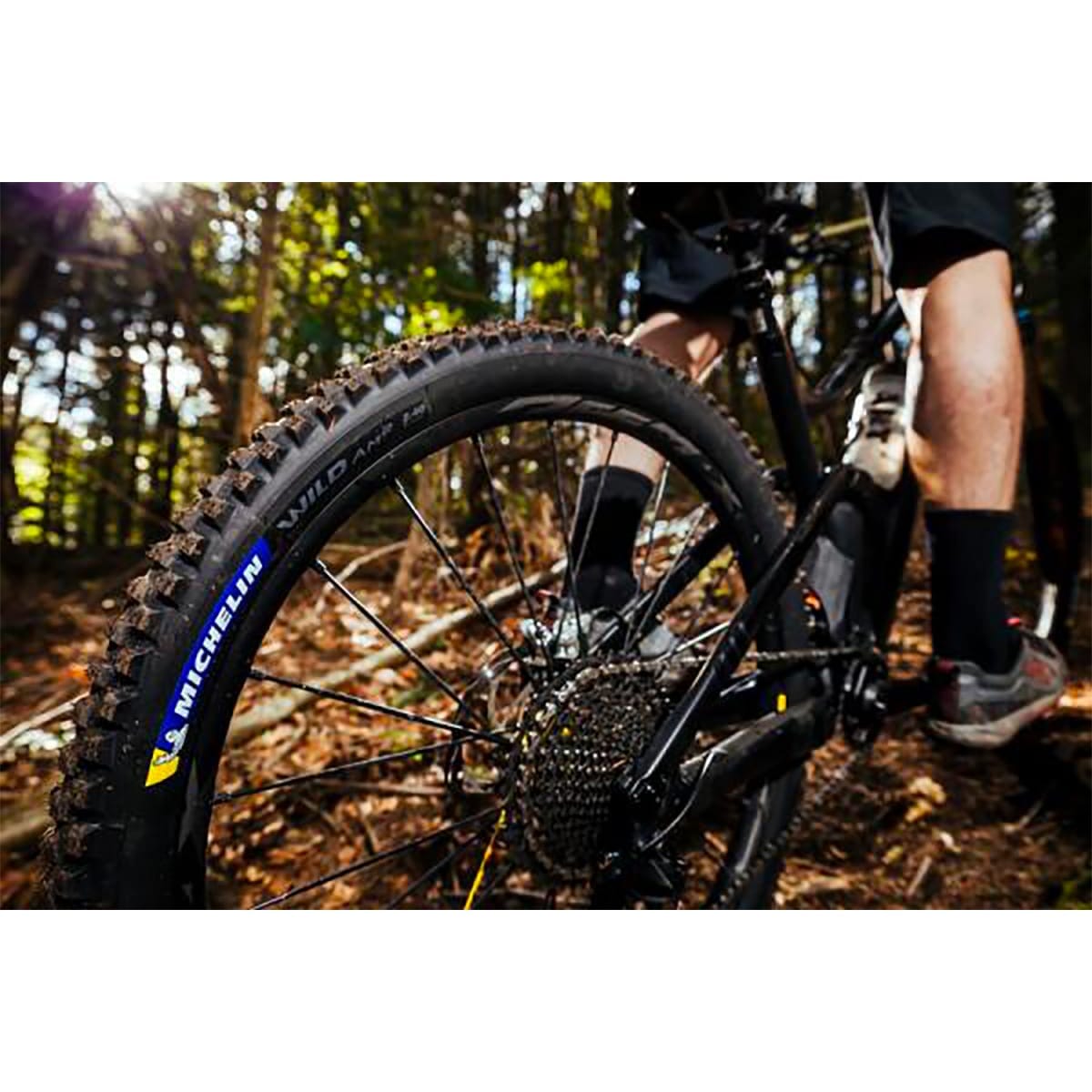 MICHELIN WILD AM2 Competition Line 29X2.60 Tubeless Ready Soft-däck