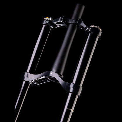 Widelec FORMULA BELVA 29" Oś 15x110mm Boost Czarny