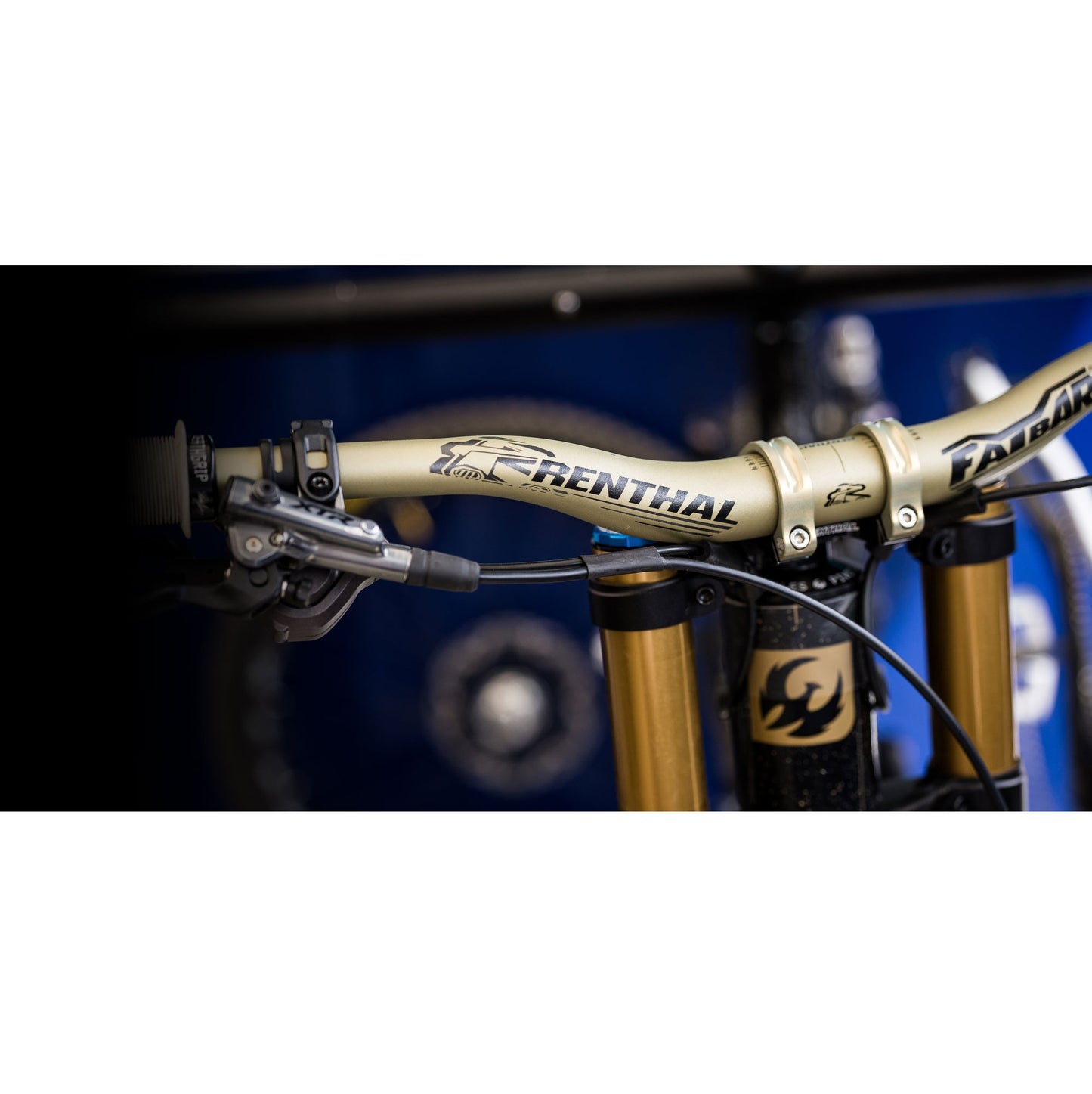 Cintre RENTHAL V3 FATBAR Rise 30mm 800mm Or