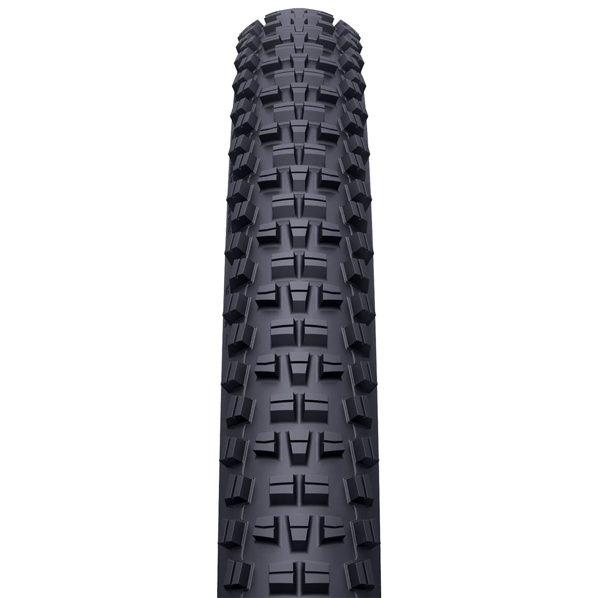 WTB TRAIL BOSS 29x2.25 TCS Light Tubeless Ready Souple W010-0887 dæk