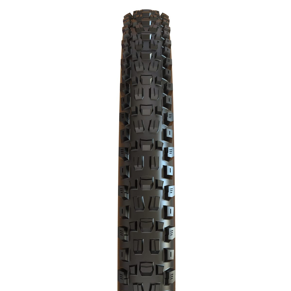 MAXXIS ASSEGAI 29x2.50 WT BikePark DH Tubeless Ready Rigid Sort dæk