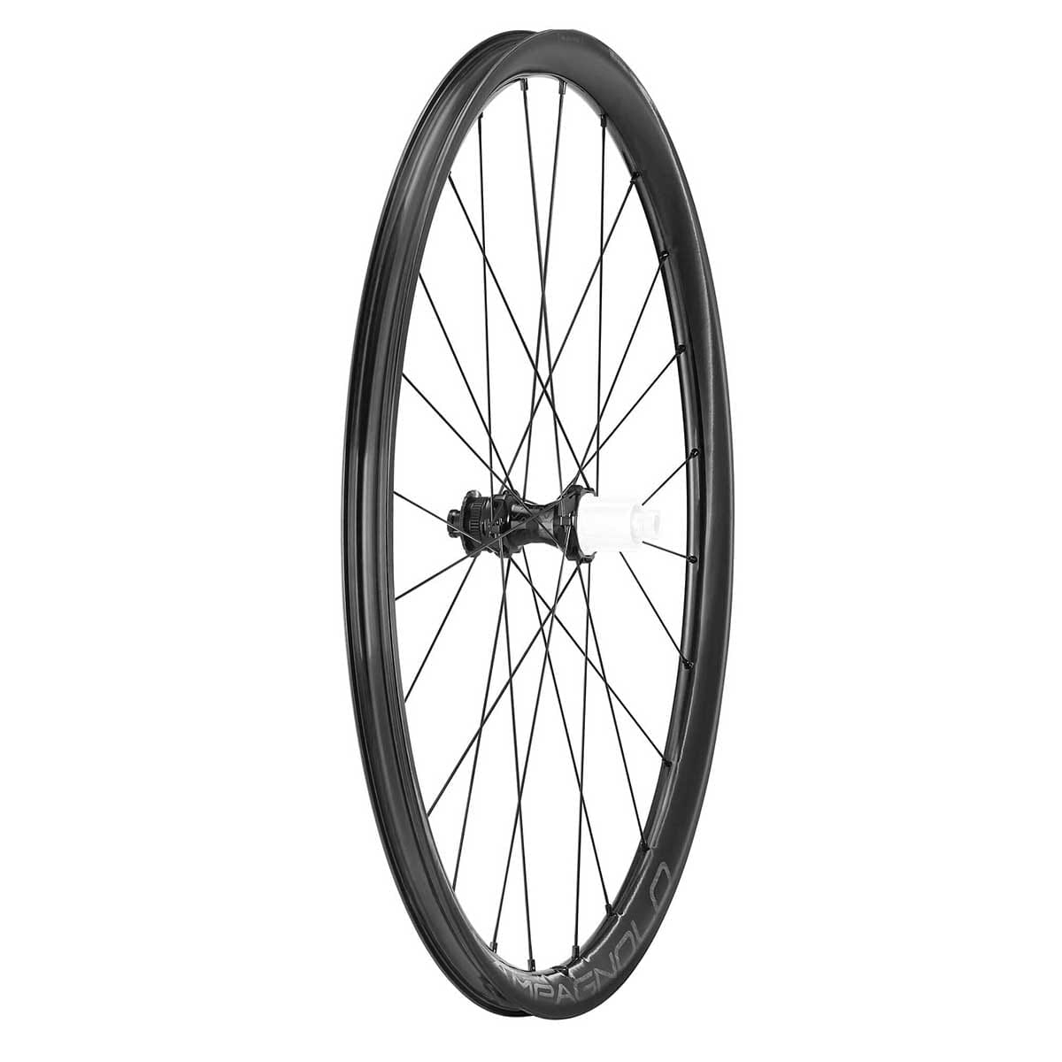 Par de ruedas CAMPAGNOLO LEVANTE 2-WAY FIT DISC 700c