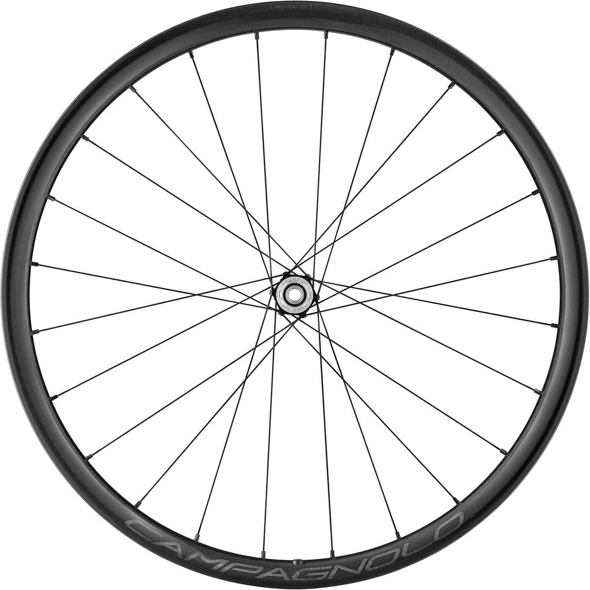 Par de ruedas CAMPAGNOLO LEVANTE 2-WAY FIT DISC 700c