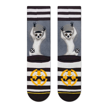 MERGE4 RING TAIL LEMUR Socks