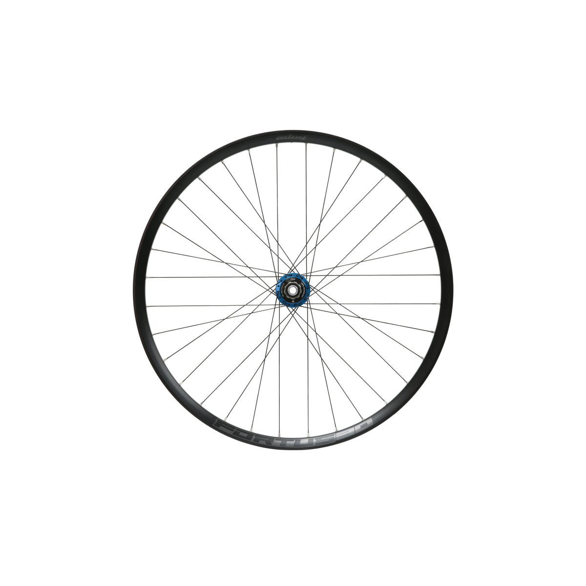 HOPE Fortus 30 W 29 inch achterwiel, Pro 5-naaf blauw