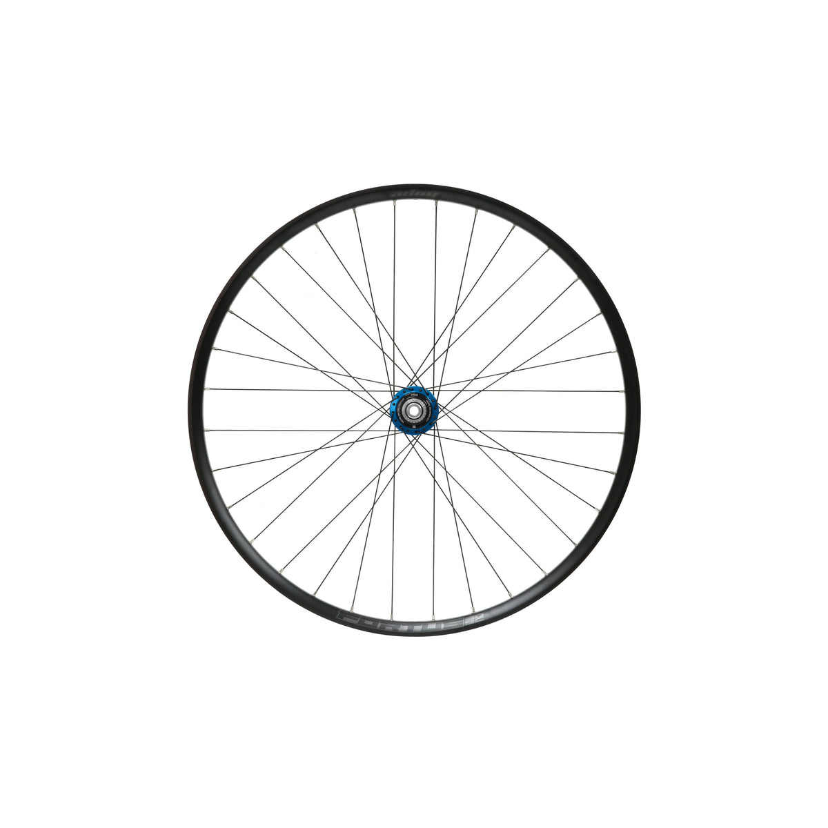 HOPE Fortus 30 W SC 29-inch rear wheel, blue Pro 5 hub