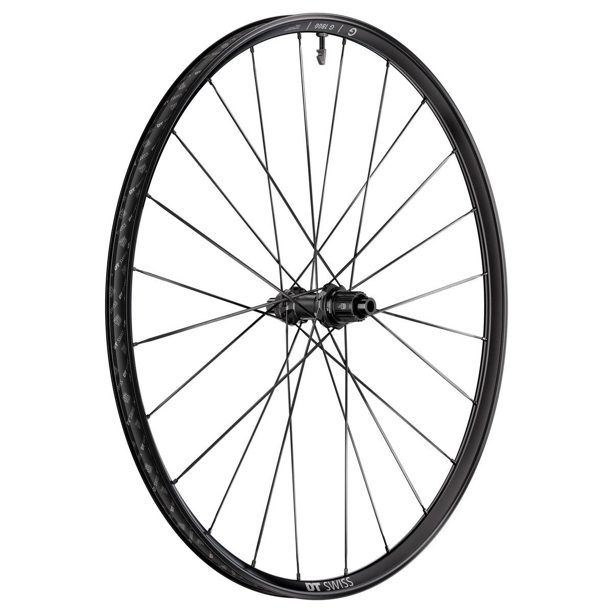 DT SWISS G 1800 SPLINE 20 Disc -kiekkopari, takanäkymä