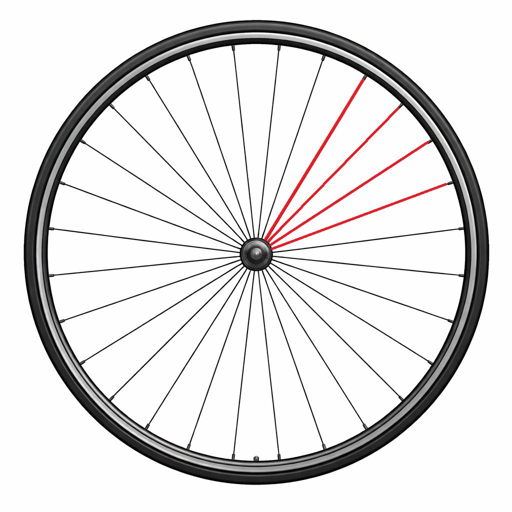 Kit de 4 Rayons CAMPAGNOLO CALIMA Arrière Droit