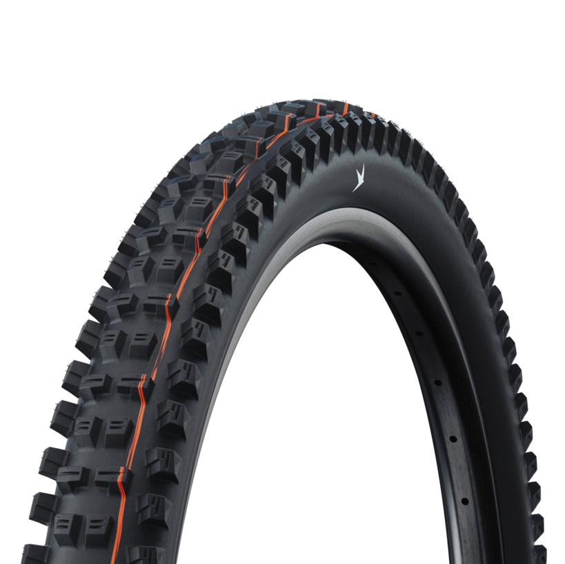 Pneumatico SCHWALBE TACKY CHAN GRAVITY PRO SOFT RADIAL 29x2,50 Tubeless Ready Soft Black