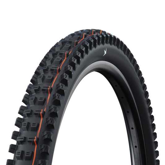 Pneu SCHWALBE TACKY CHAN GRAVITY PRO SOFT RADIAL 27.5x2.50 Tubeless Ready Souple Noir