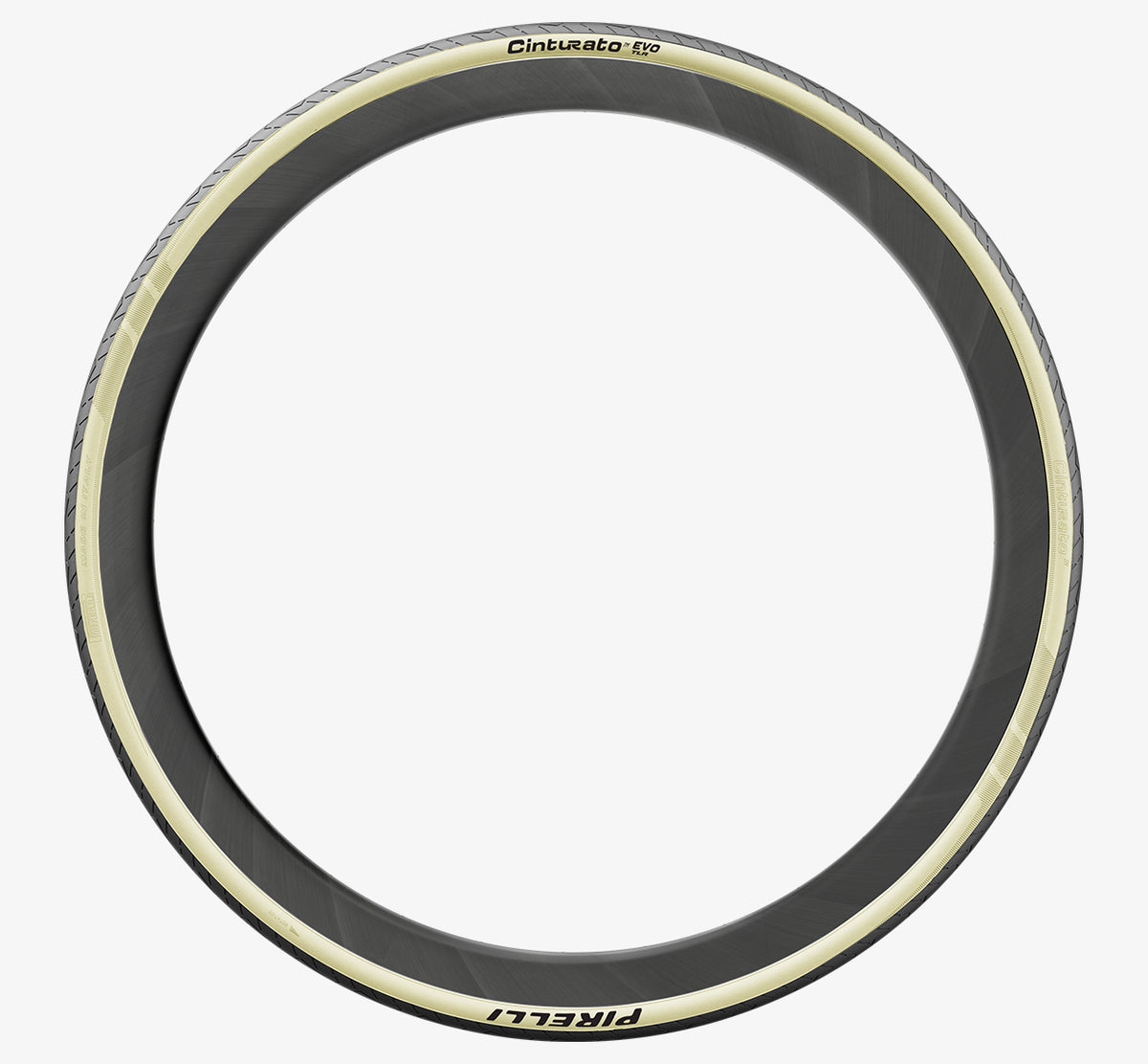 PIRELLI CINTURATO EVO TLR tubeless-valmidusega rehv, retrostiilis külgsein