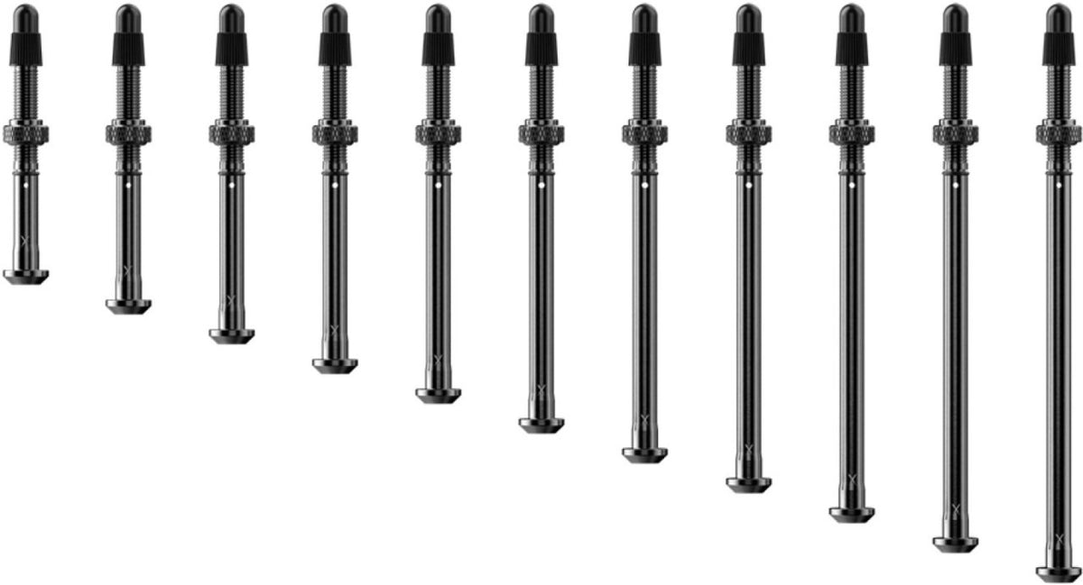 Valves Tubeless SRAM QUARQ TyreWiz 2.0