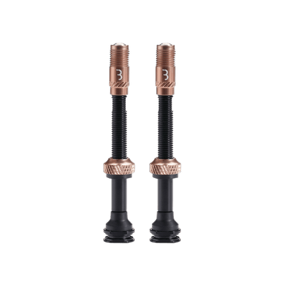BBB CORE CAP Bronze Valves (x2)