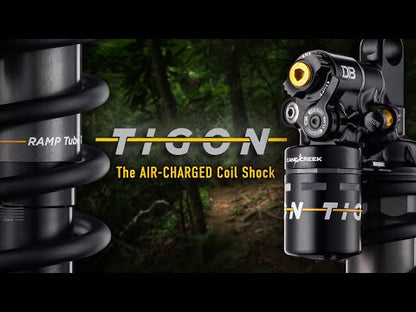 CANE CREEK TIGON Air/Coil Trunnioni tagaamort